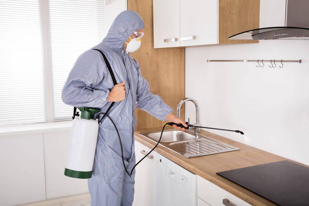 Domestic Residential Pest Control | Envirosmart Pest Management